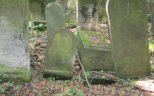 An old Jewish cemetery in Poland