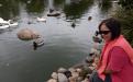 Woman dressed in pink sitting next to pond with ducks swimming by