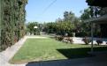 9352 Zelzah Avenue - Backyard