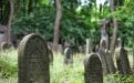 An old Jewish cemetery in Poland