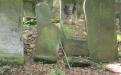 An old Jewish cemetery in Poland