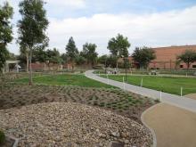 Picture of Engineering path drought tolerant plants