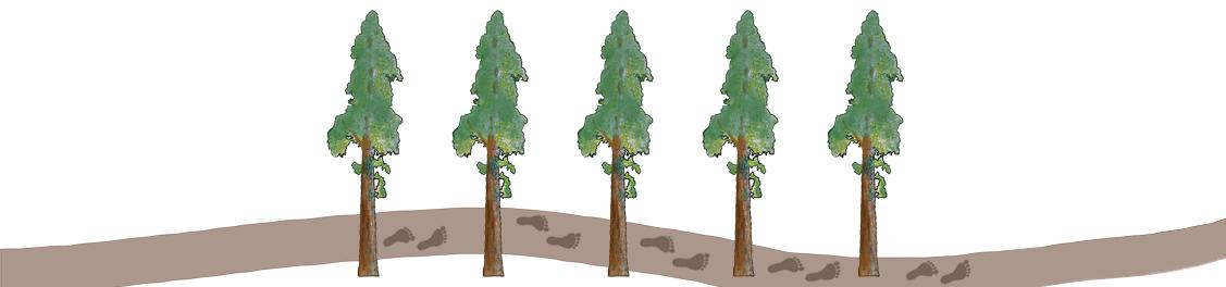 five pillars represented as sequoia trees