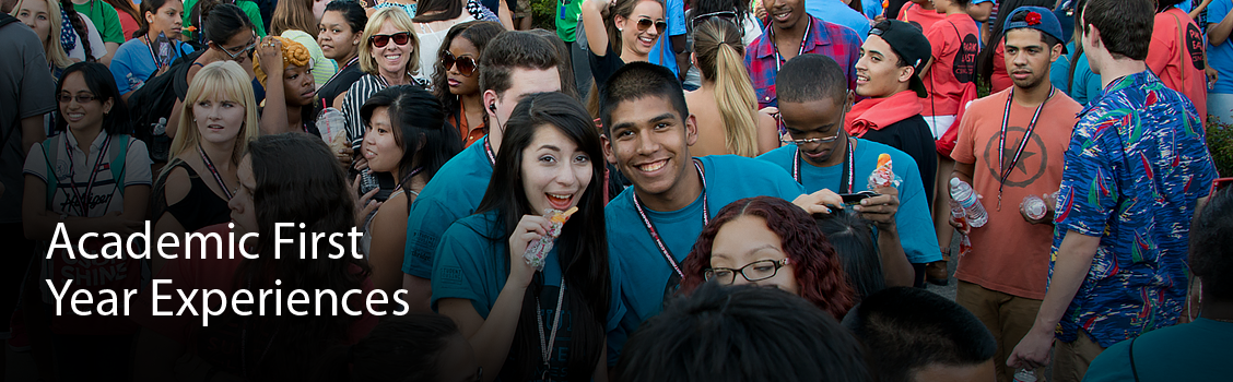 2013 Freshman Convocation crowd