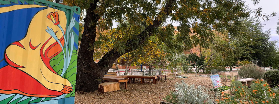 CSUN Garden