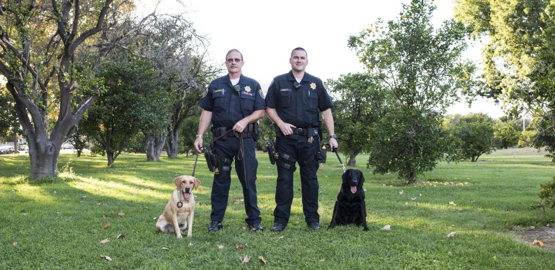 K9 Team with Dogs