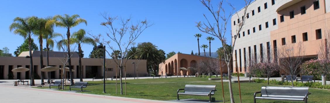 Cleary Courtyard