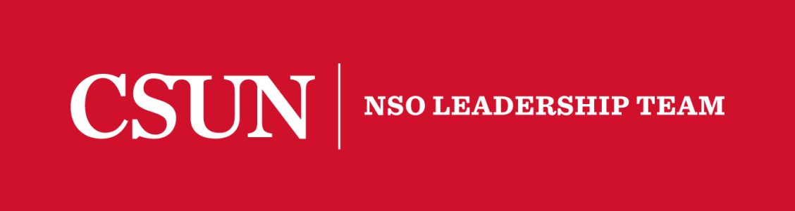 NSO Leadership Team Logo