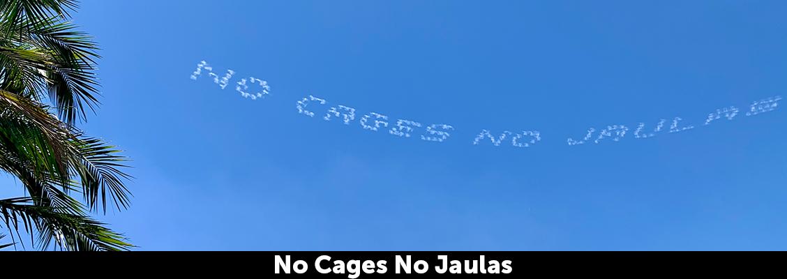 Sky writing over Los Angeles, &quot;No cages, no jaulas.&quot;