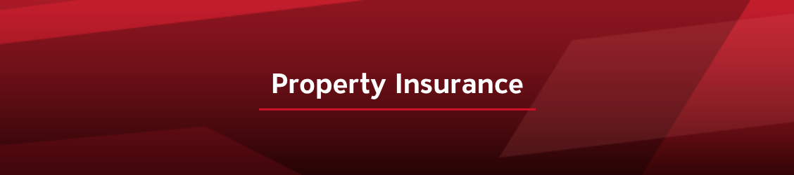 Property Insurance Banner