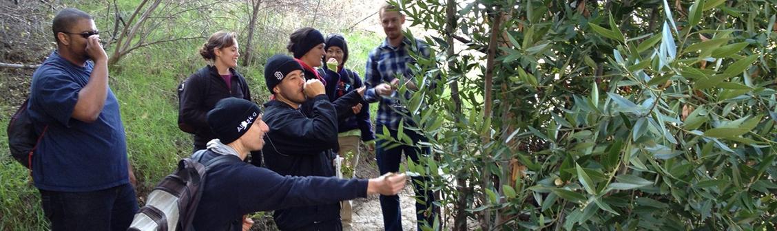 Science education students looking at plants