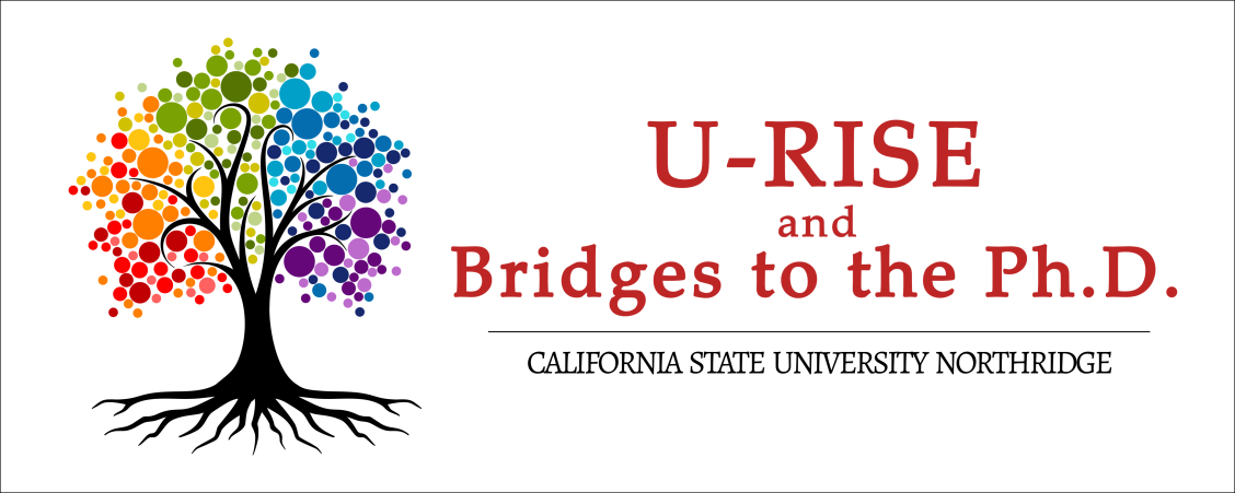 U-RISE and Bridges Logo_banner