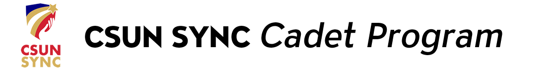 CSUN SYNC label and logo