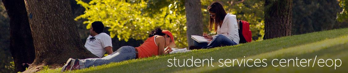 Students studying under trees