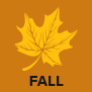 Fall Term icon
