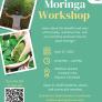 FREE MORINGA WORKSHOP Learn about the benefits and uses of this hardy, nutritious tree. Join our workshop and learn how to plant moringa! April 27, 2023 12:00-1:00PM Wellness Garden located in the Sequoia Courtyard