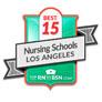 shows badge for rn to bsn dot com