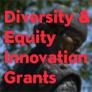 Diversity &amp; Equity Innovation Grants