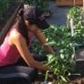woman cultivates plants in a garden