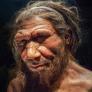 Artist rendering of a Neandertal man