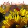 sunflowers and the phrase &quot;with gratitude&quot;