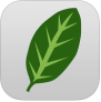 Biostat Buddy App Icon
