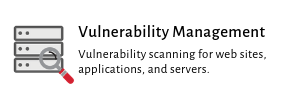 Vulnerability Management button. 
