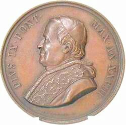 Pius IX, Year 28