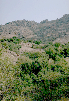 View of the Sanctuarry, n.ew to s.e