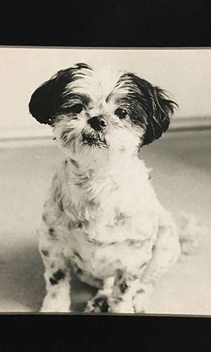 Color Photo Thumbnail